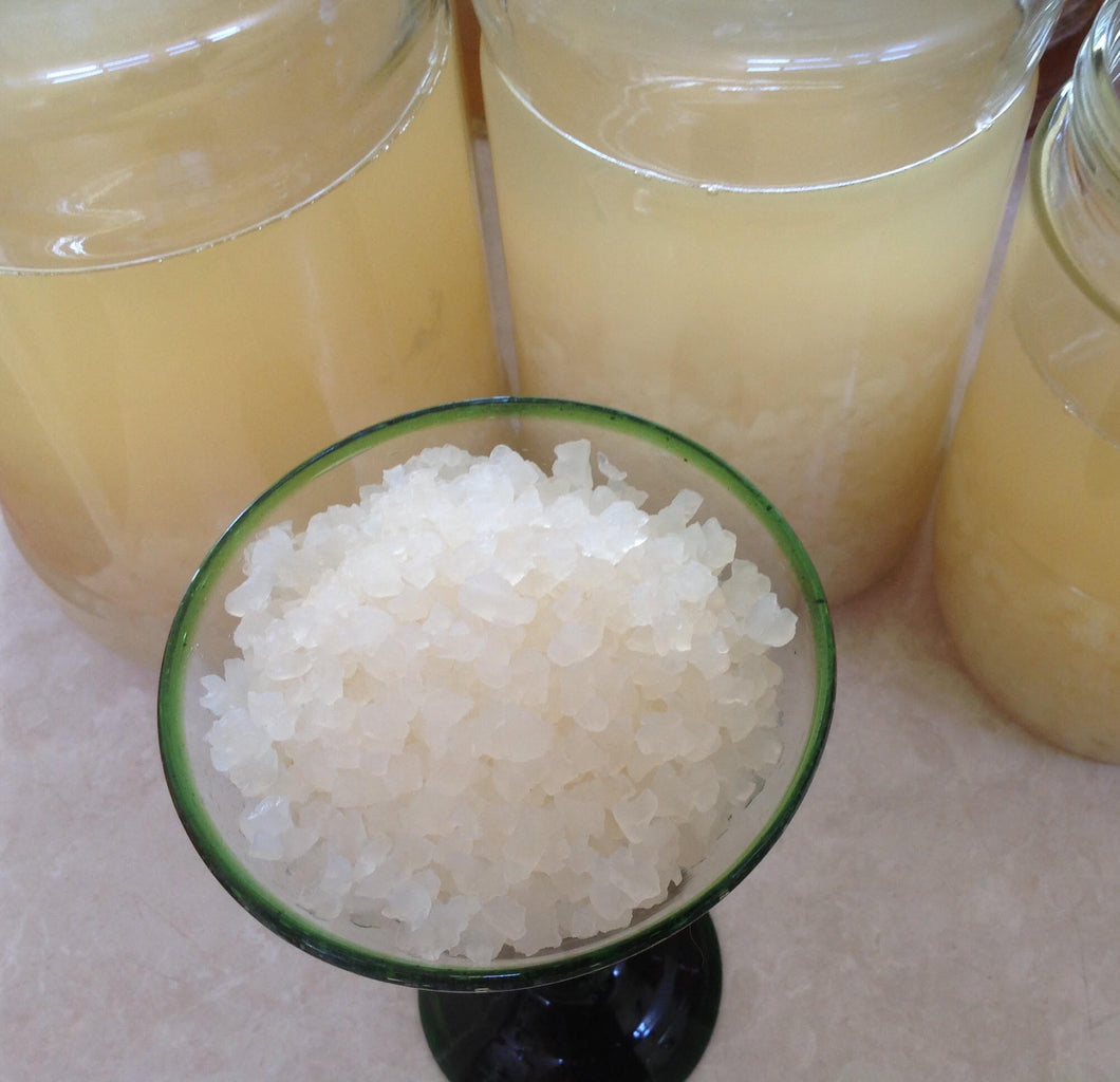 Water Kefir Grains - 3 tablespoons – The Healing Hut